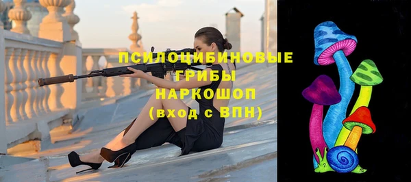 гидропоника Белокуриха