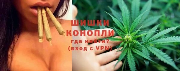 гидропоника Белокуриха