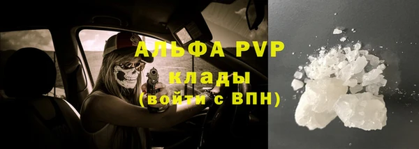 гидропоника Белокуриха