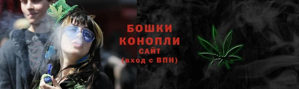 гидропоника Белокуриха