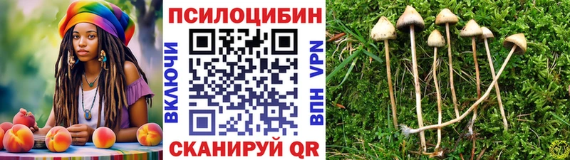 mega как войти  Первомайск  Галлюциногенные грибы Cubensis 